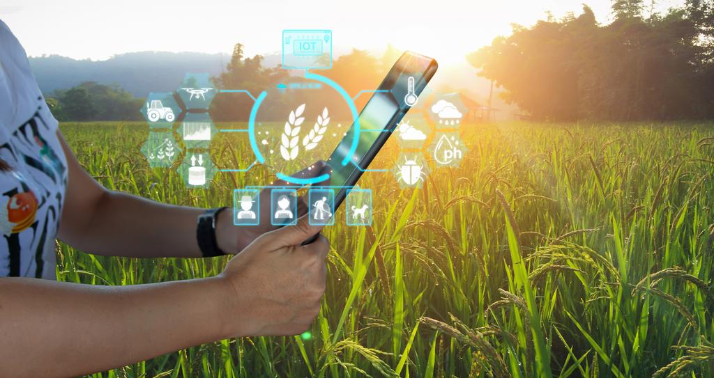 Frau mit Laptop auf Feld Technologieanalyse