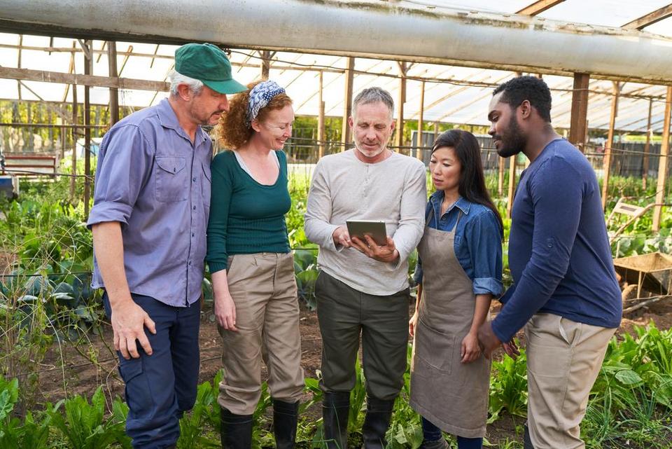 5 Landwirte im Gespräch mit Hilfe eines Tablets