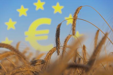 Europäischen Agrarpolitik und Finanzierung der Landwirtschaft Symbolbild zur europäischen Agrarpolitik und Finanzierung der Landwirtschaft