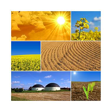 Bionenergy Nachwachsende Rohstoffe und Bioenergie