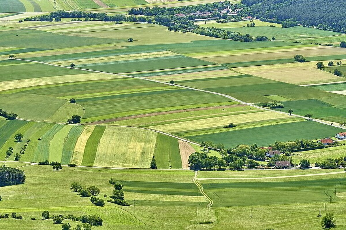 Landwirtschaftliche Nutzflächen Landwirtschaftliche Nutzflächen (Foto Adobe Stock)