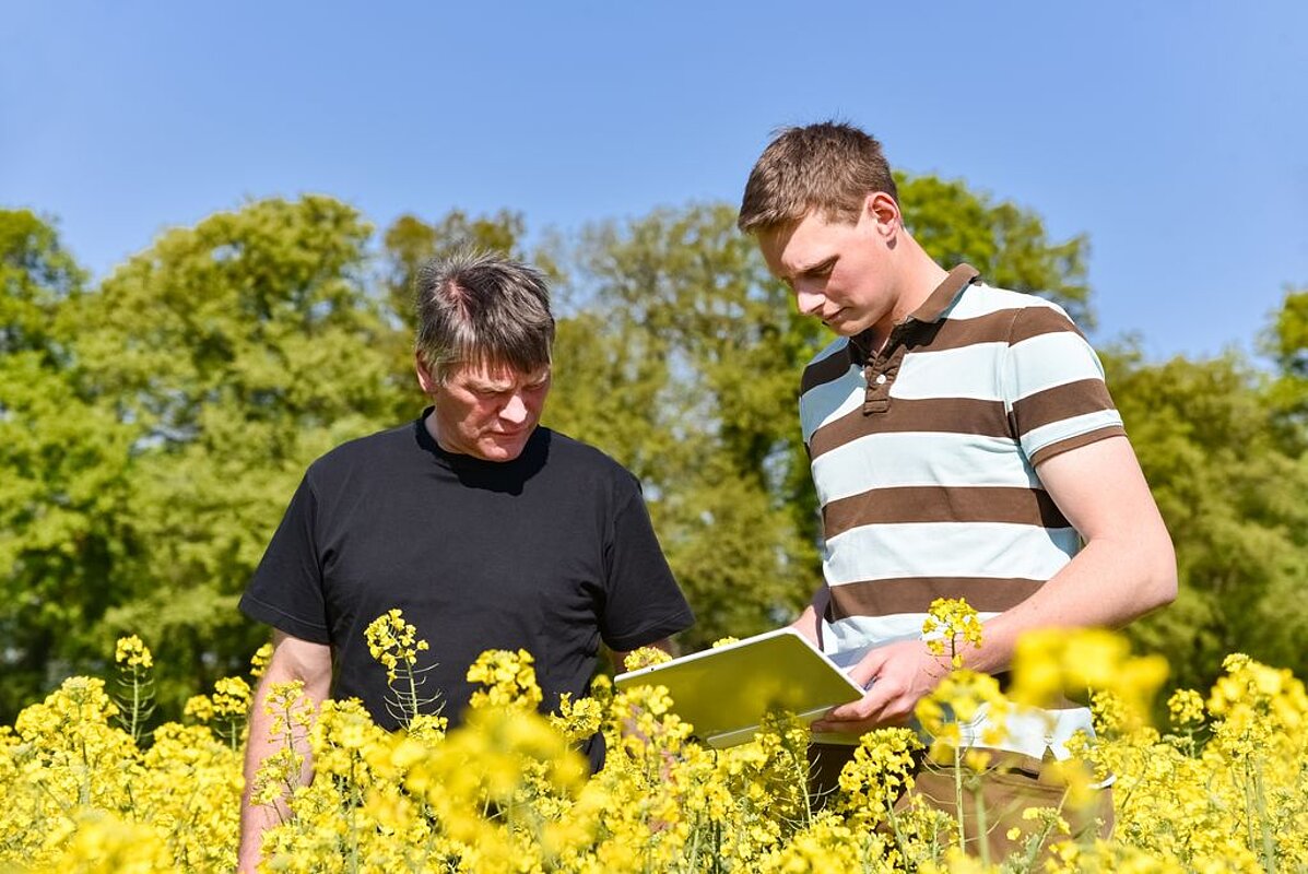 Landwirtschaftliche Ausbildung, Azubi und Meister im Rapsfeld Ein junger und ein älterer Landwirt stehen im gelben Rapsfeld. Der jüngere Landwirt hält einen Laptop in der Hand.